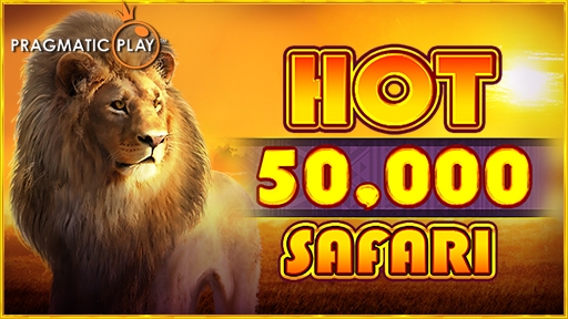 Hot Safari 50000