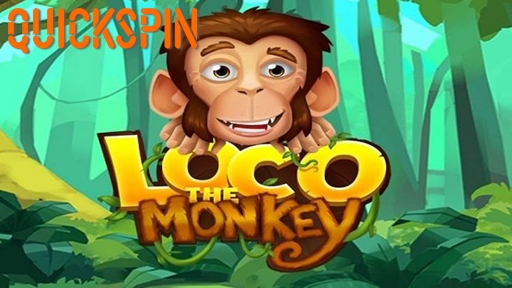 Loco the Monkey