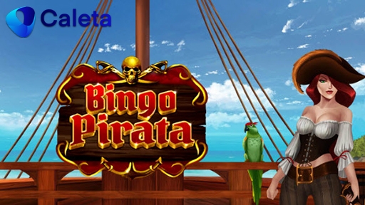 Casino Other Bingo Pirata