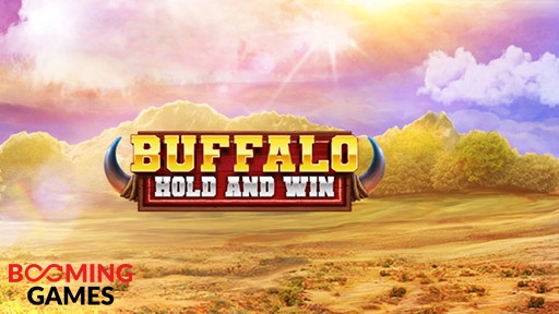 Buffalo Hold & Win