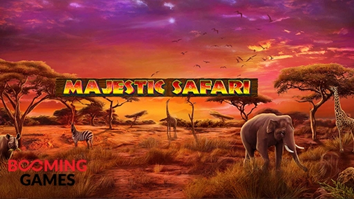 Majestic Safari