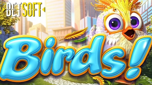 Birds