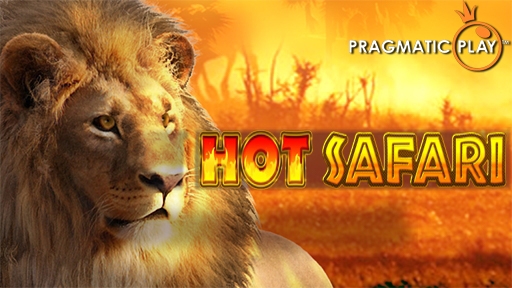 Hot Safari