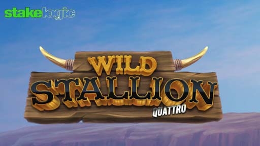 Wild Stallion
