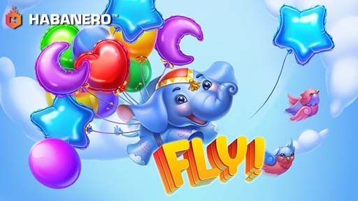 Fly