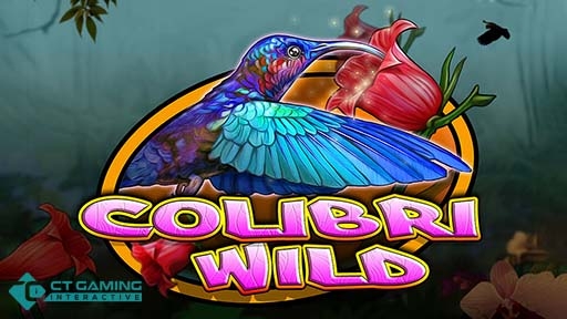 Colibri Wild