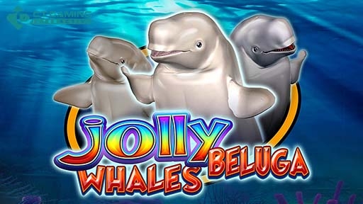 Jolly Beluga Whales