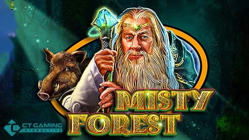 Misty Forest