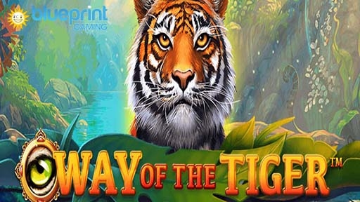 Way of the Tiger