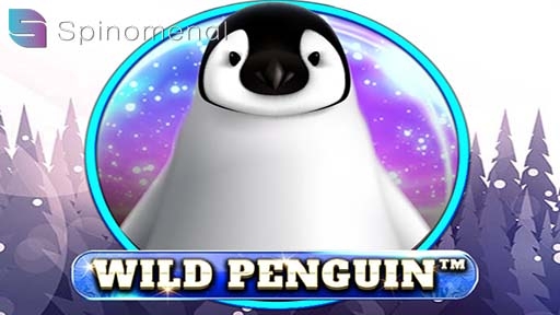 Wild Penguins