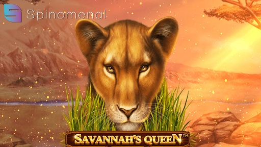 Savannahs Queen from Spinomenal