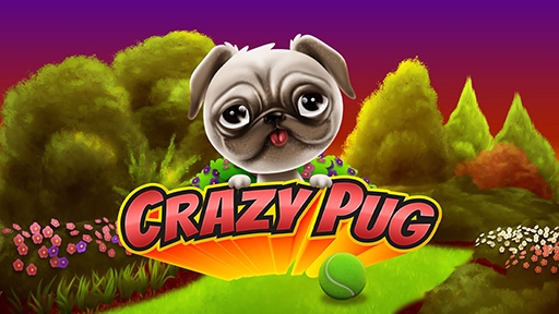 Crazy Pug