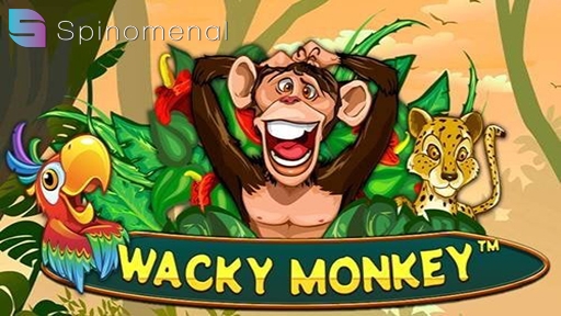 Wacky Monkey