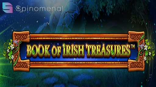 Book Of Irish Treasures