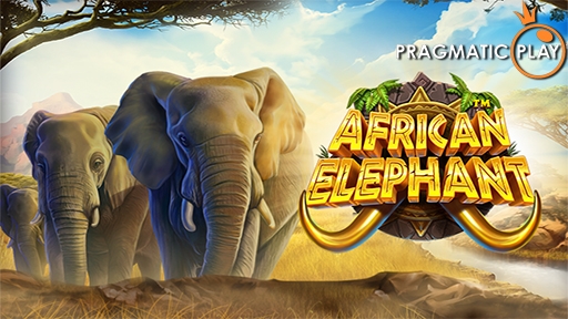 African Elephant
