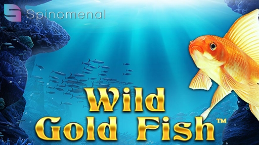 Casino Slots Wild Gold Fish