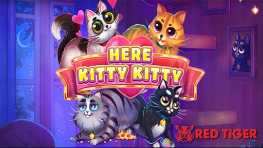 Here Kitty Kitty