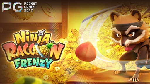 Ninja Raccoon Frenzy