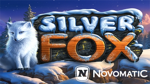 Play online casino Silver Fox