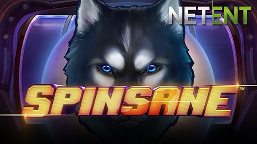 Spinsane