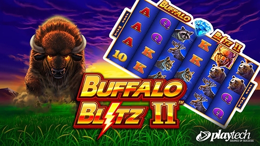 Buffalo Blitz 2