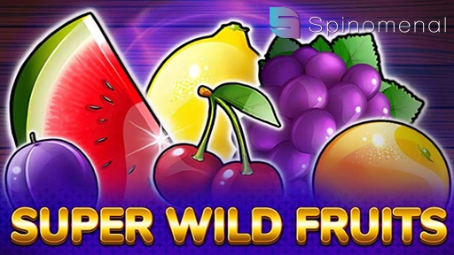 Casino Slots Super Wild Fruits