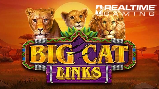 Big Cat Links