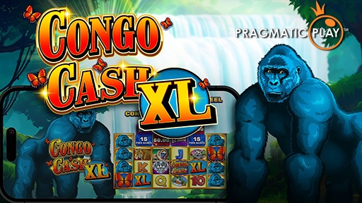 Congo Cash XL