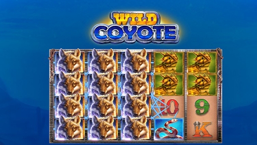 Wild Coyote
