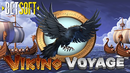 Viking Voyage