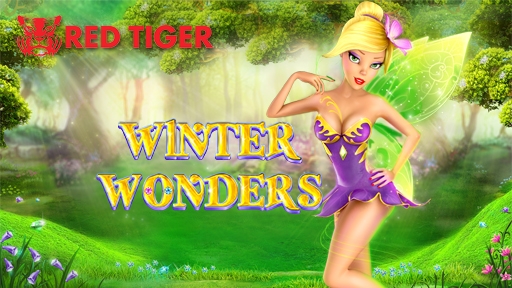 Winter Wonders