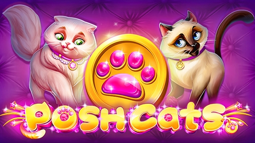 Posh Cats
