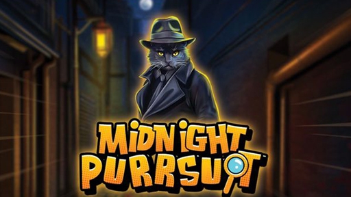 Midnight Purrsuit