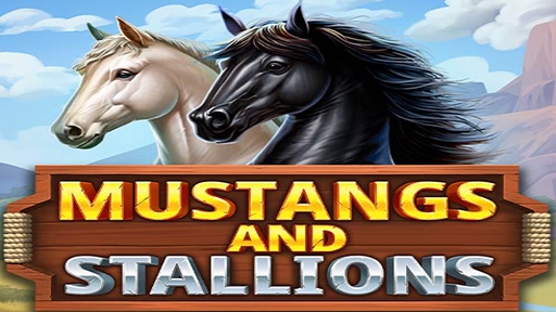 Mustang and Stallions