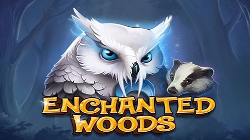 Enchanted Woods