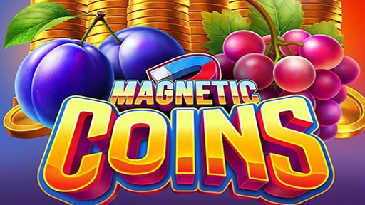 Magnetic Coins