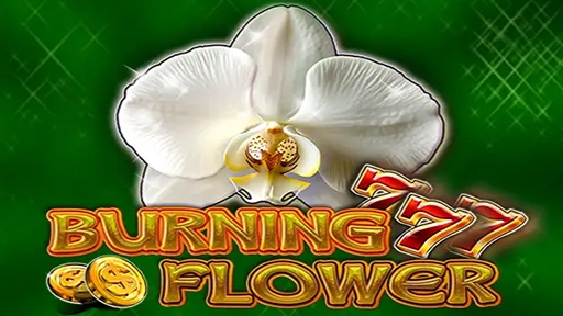 Burning Flower