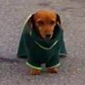 _GaviaO_'s avatar