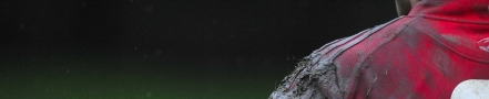 frank's casino header profile